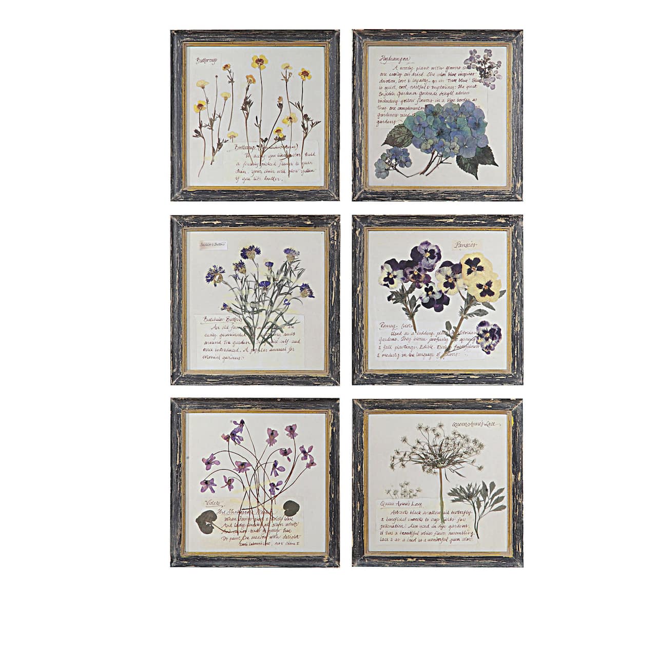 Hello Honey® Floral Images Square Wood Framed Wall Décor Set